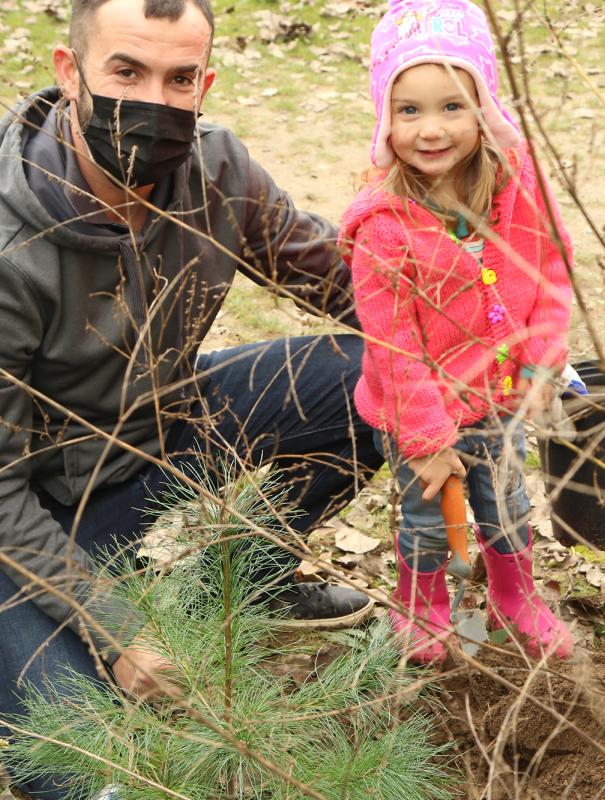 A man and a child stand near a newly-planted tree.