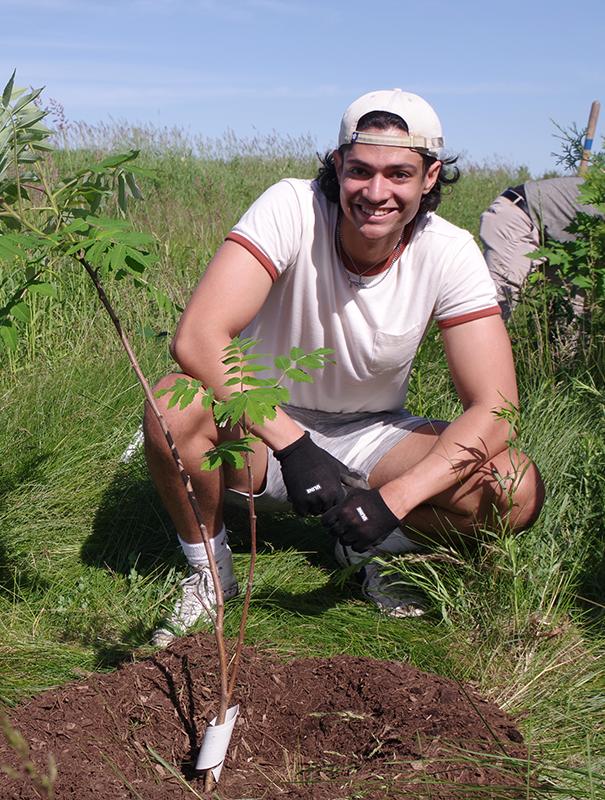 Planting a tree with Carfax