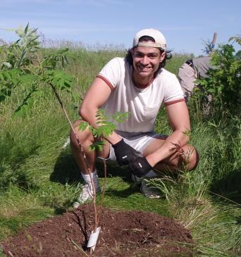 Planting a tree with Carfax